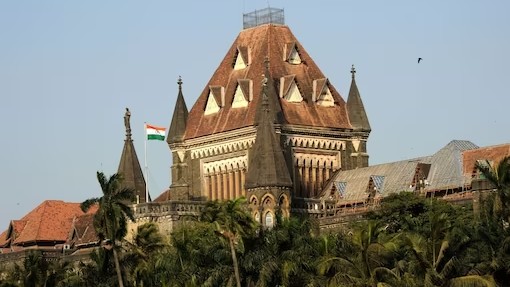 Bombay High Court Denies Pre-Arrest Bail To Man Accused Of Transporting Beef