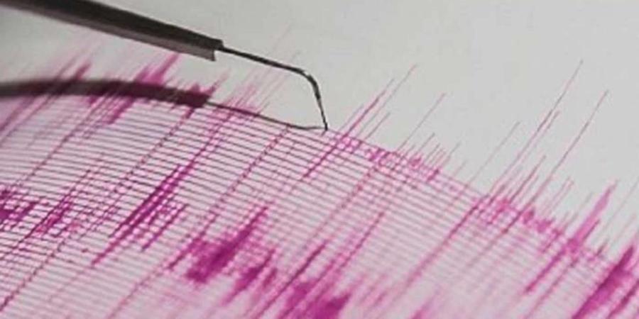 Maharashtra: Nagpur, Gadchiroli, & Chandrapur Hit By Mild Tremors After Earthquake Strikes Telangana's Mulugu