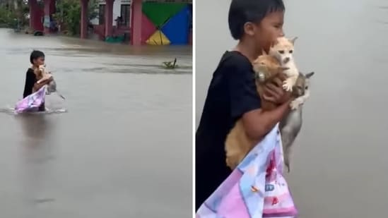 Malaysia flood: The image shows a kid saving three cats. (Screengrab)