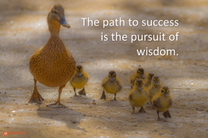 the path to success is the pursuit of wisdom 1