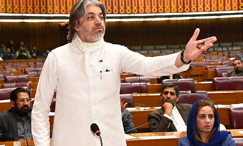 PTI leader Ali Muhammad Khan speaks in the National Assembly on December 17. — Photo via X/@NAofPakistan