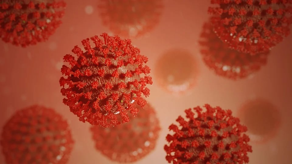 Maharashtra: Two Suspected Cases Of Human Metapneumovirus Detected In Nagpur