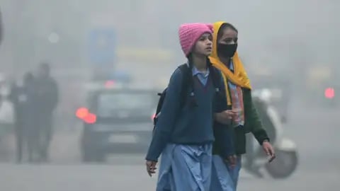 Weather Update: IMD Forecasts Cold Wave, Dense Fog & Snowfall In Some Parts Of North India- Visuals