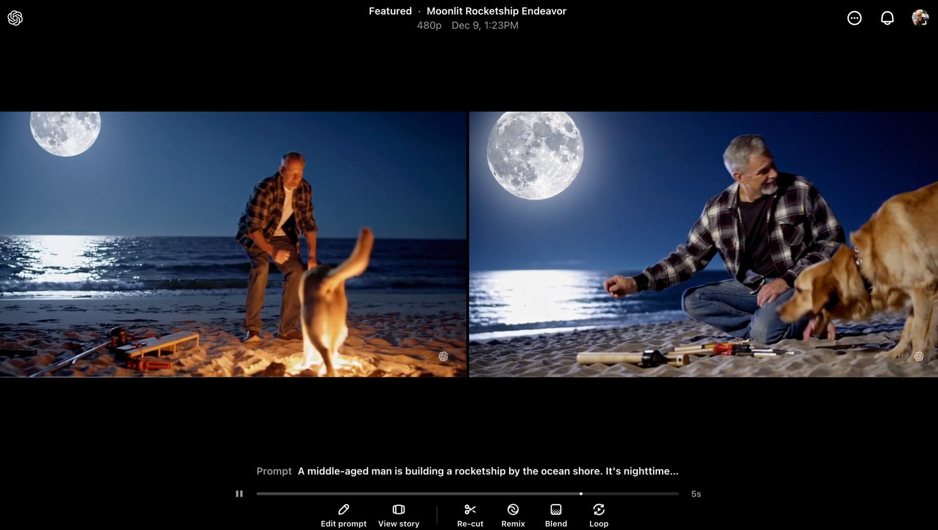 OpenAI Sora Hands on showing two pictures of dogs on a beach